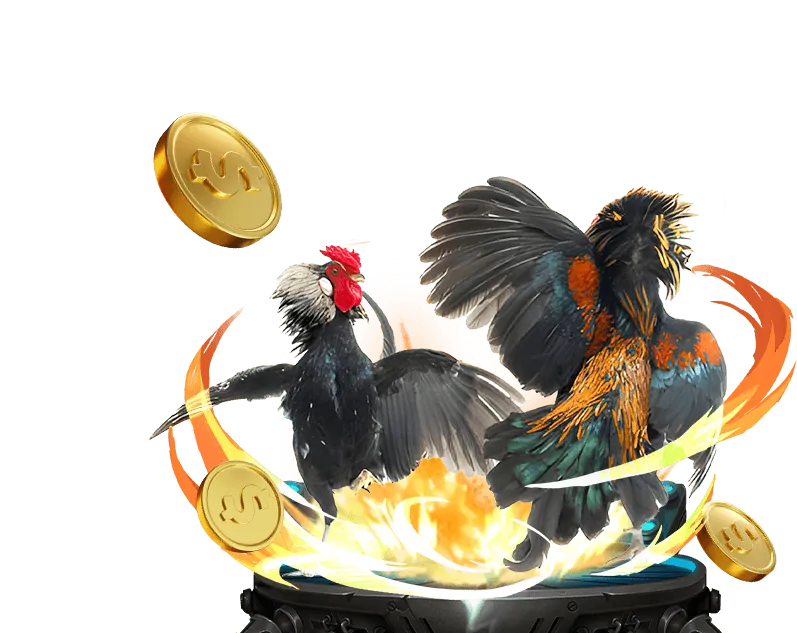 Cá cược thể thao ve888